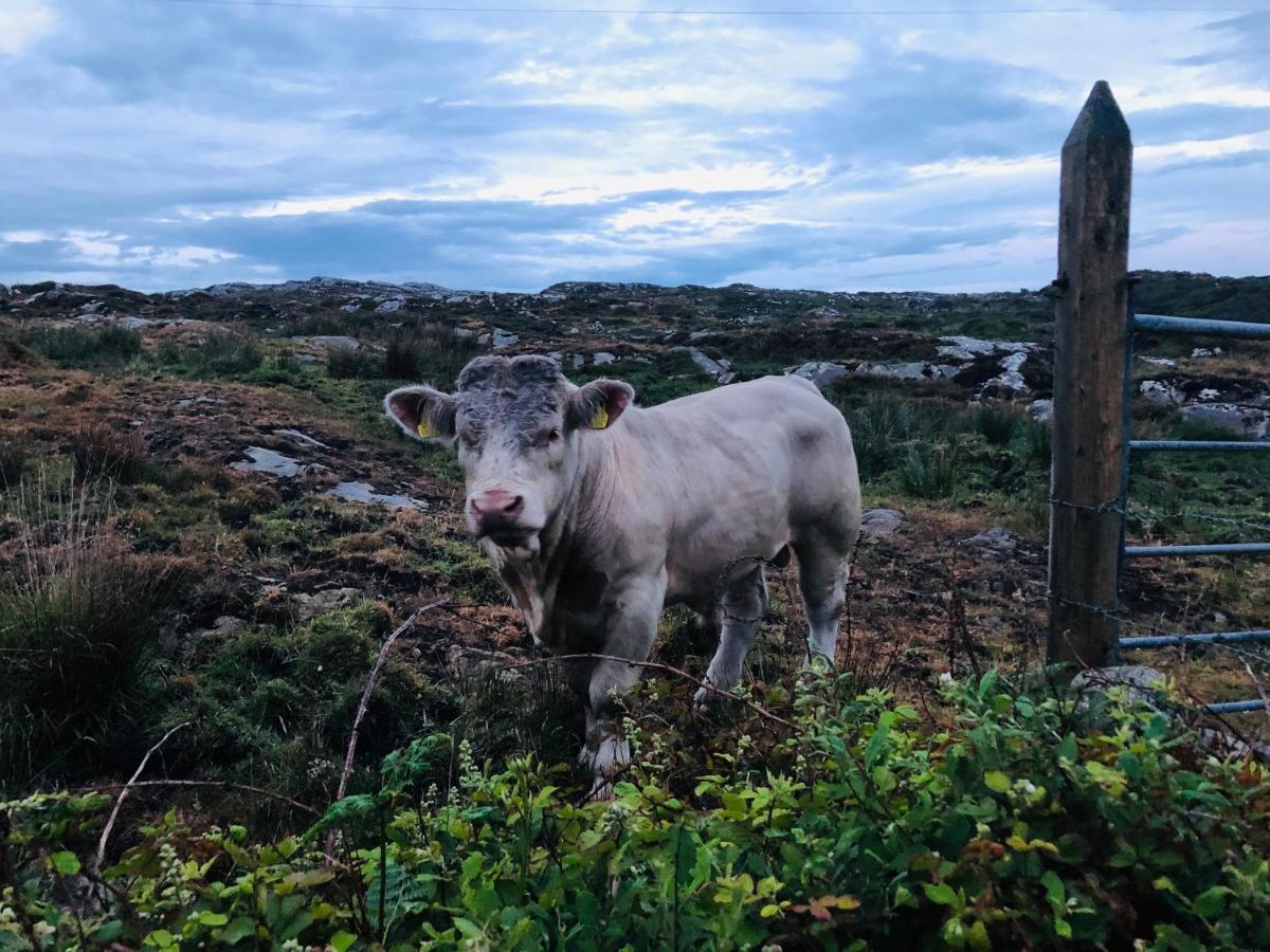 Connemara Sands & 4*